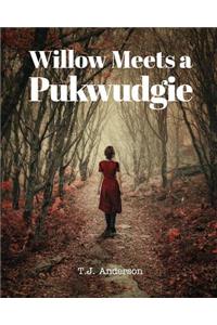 Willow Meets a Pukwudgie