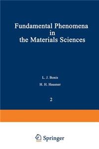 Fundamental Phenomena in the Materials Sciences