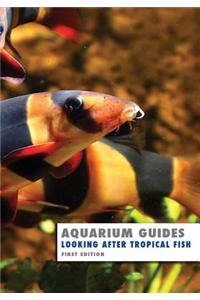 Aquarium Guide: Looking After Tropical Fish