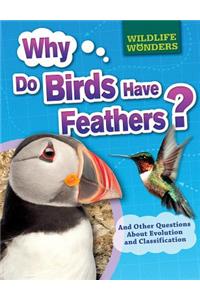 Why Do Birds Have Feathers?