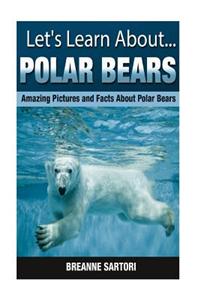 Polar Bears: Amazing Pictures and Facts about Polar Bears