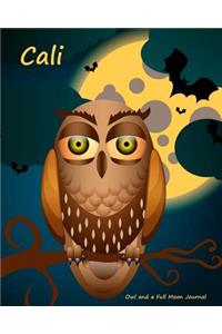 Owl and a Full Moon Journal - Cali