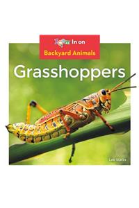 Grasshoppers