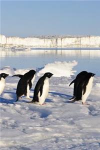 Penguins