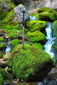 A Sword in the Stone Fantasy Journal