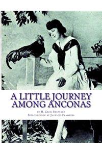 A Little Journey Among Anconas