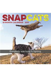Snapcats 2019 Wall Calendar