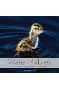 Water Babies: The Hidden Lives of Baby Wetland Birds