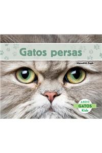 Gatos Persas