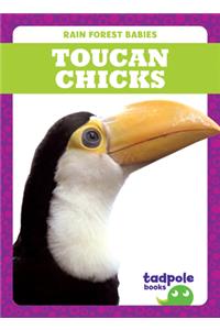 Toucan Chicks