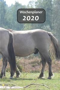 Wochenplaner 2020