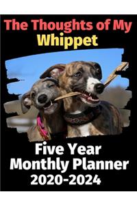 The Thoughts of My Whippet