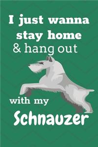 I Just Wanna Stay Home And Hang Out With My Schnauzer