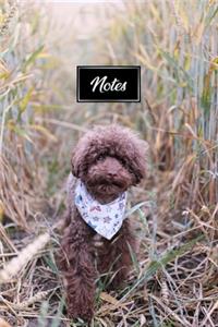 Poodle Dog Pup Puppy Doggie Notebook Bullet Journal Diary Composition Book Notepad - In The Cornfield