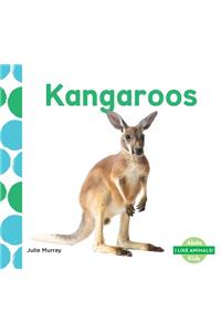 Kangaroos