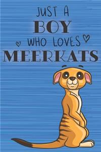 Just a Boy Who Loves Meerkats