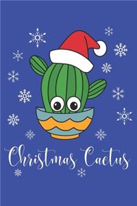 Christmas Cactus