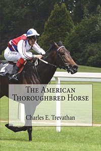 American Thoroughbred Horse