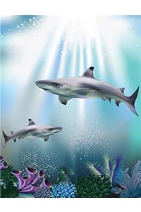 Shark Spotting Sketchbook