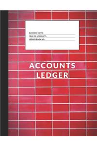 Accounts Ledger
