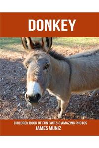 Donkey
