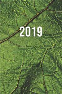 2019