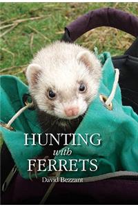 Hunting with Ferrets
