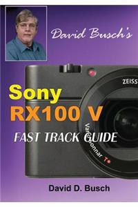 DAVID BUSCH'S Sony Cyber-shot DSC-RX100 V FAST TRACK GUIDE