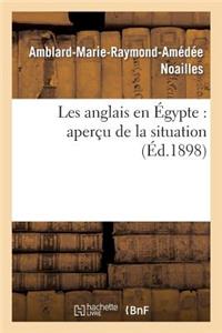 Les Anglais En Égypte: Aperçu de la Situation