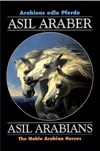 Asil Araber/Asil Arabians V