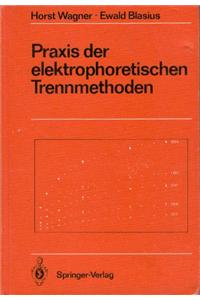 Praxis Der Elektrophoretischen Trennmethoden