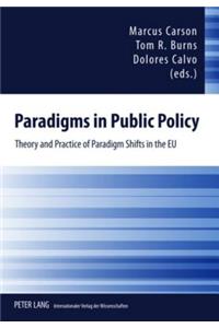 Paradigms in Public Policy