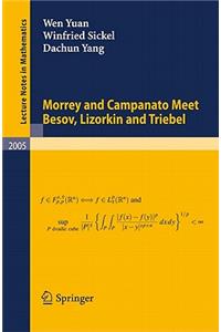 Morrey and Campanato Meet Besov, Lizorkin and Triebel