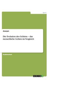 Die Evolution des Gehirns - das menschliche Gehirn im Vergleich