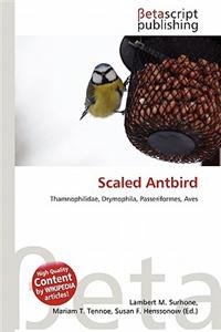 Scaled Antbird
