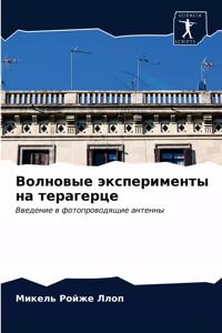 Волновые эксперименты на терагерце