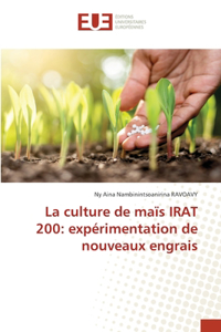La culture de maïs IRAT 200