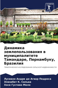 Динамика землепользования в муниципалит&