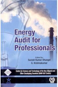 Energy Audit for Professionals/Nam S&T Centre