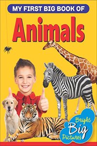 My First Big Book Animals