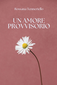 Un amore provvisorio