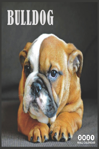 Bulldogs 2021 Wall Calendar