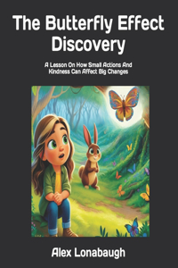 Butterfly Effect Discovery
