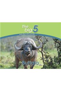 Buffalo