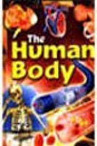 The human body