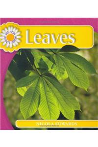 See How Plants Grow: Leaves