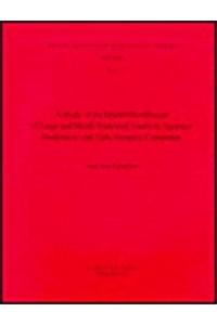 Study of Spatial Distribution of Large and Richly Endowed Tombs in Egyptian Predynastic and Early Dynastic Cemeteries
