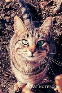 Cat notebook
