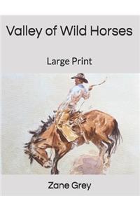 Valley of Wild Horses: Large Print