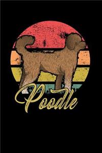 Poodle